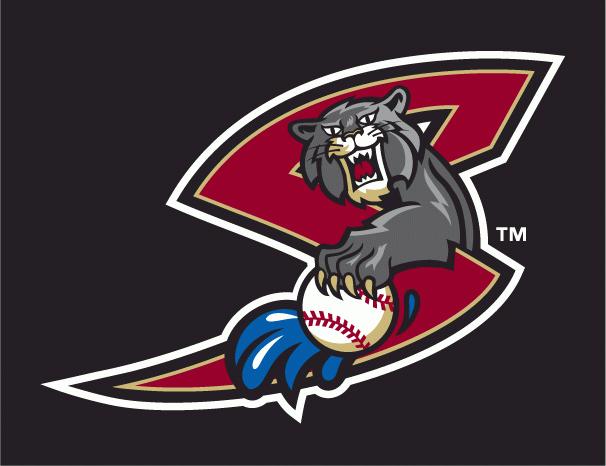 Sacramento River Cats 2000-2006 Cap Logo 4 iron on paper